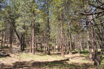 Enlarge photo 10