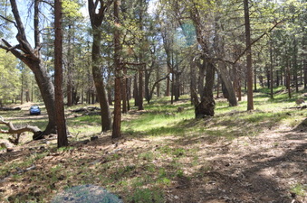 Enlarge photo 8