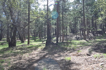 Enlarge photo 9