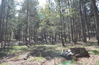 Enlarge photo 7