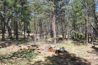 Enlarge photo 2