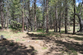 Enlarge photo 3