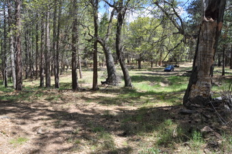 Enlarge photo 4