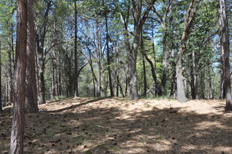 Enlarge photo 7