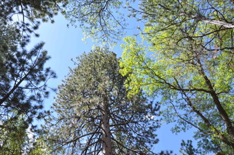 Enlarge photo 4