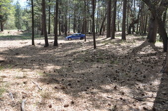 Enlarge photo 3