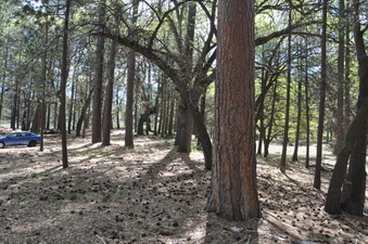 Enlarge photo 9