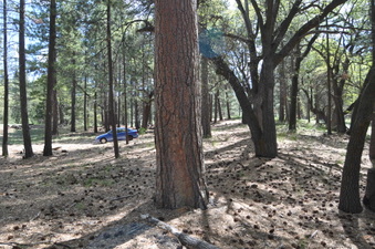 Enlarge photo 6