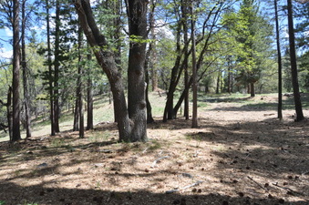 Enlarge photo 5