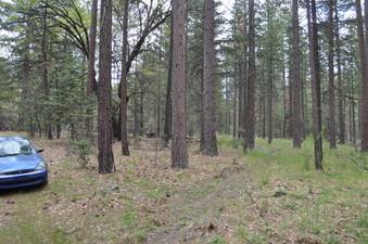END OF WEST END TRAIL BY PAD