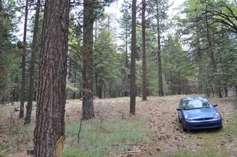 Enlarge photo 2