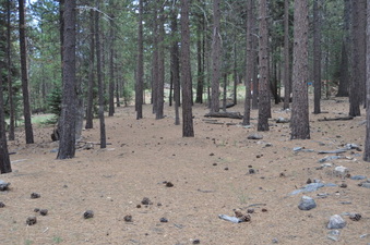 Enlarge photo 7