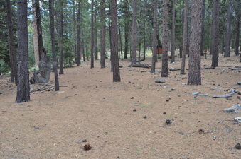 Enlarge photo 2
