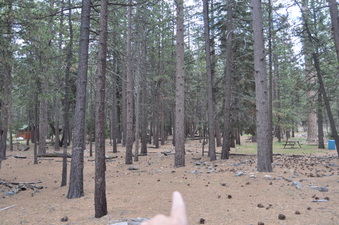 Enlarge photo 8