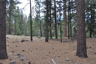 Enlarge photo 10