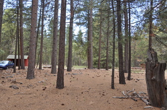 Enlarge photo 11