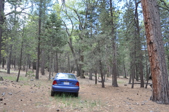 Enlarge photo 9