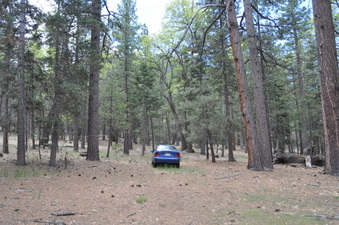 Enlarge photo 11