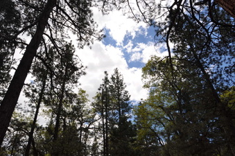 Enlarge photo 7