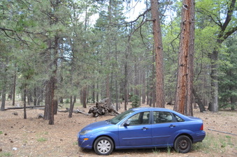 Enlarge photo 3