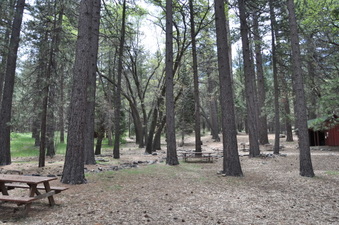Enlarge photo 8