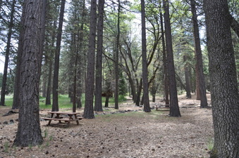 Enlarge photo 4