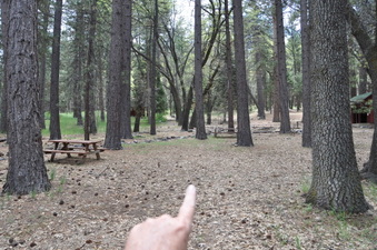 Enlarge photo 11