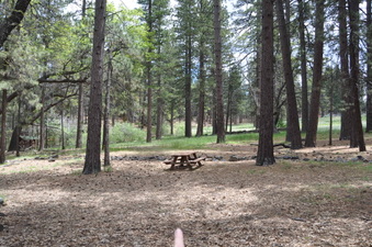 Enlarge photo 7