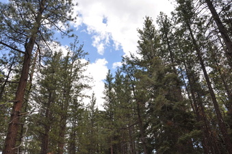 Enlarge photo 4