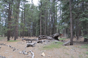 Enlarge photo 5