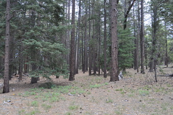 Enlarge photo 3