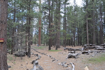 Enlarge photo 2