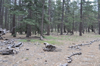 Enlarge photo 7