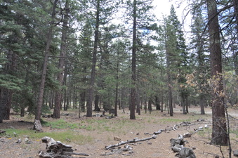 Enlarge photo 6