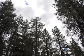 Enlarge photo 8