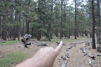 Enlarge photo 9