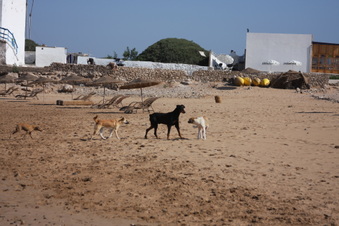 Enlarge photo 12