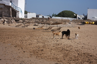Enlarge photo 13