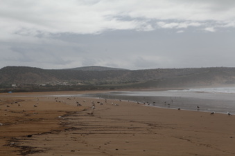 Enlarge photo 12