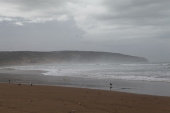 Enlarge photo 13