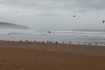 Enlarge photo 18