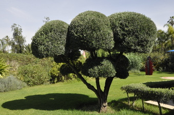 Enlarge photo 3