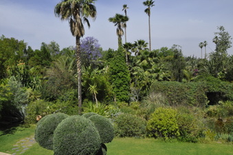Enlarge photo 8