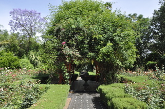 Enlarge photo 13