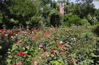 Enlarge photo 14