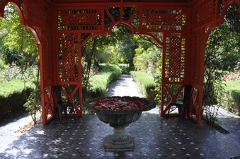 Enlarge photo 15