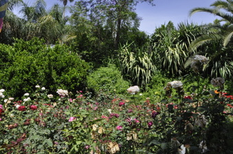 Enlarge photo 16