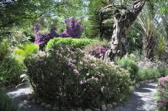 Enlarge photo 22