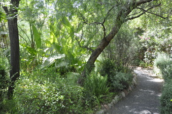 Enlarge photo 25