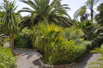 Enlarge photo 26